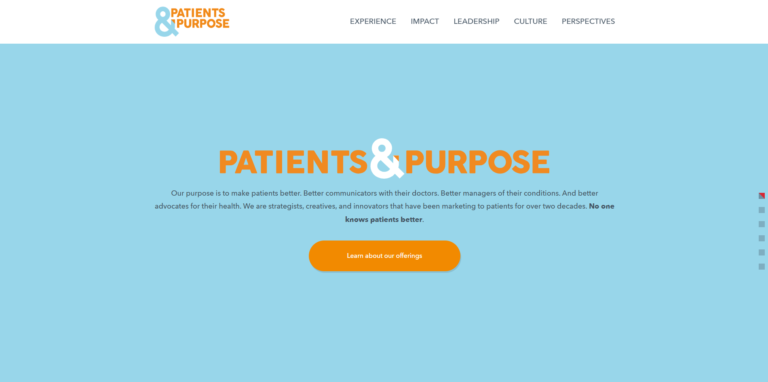 Patients  Purpose- Best Digital Marketing Services in New York