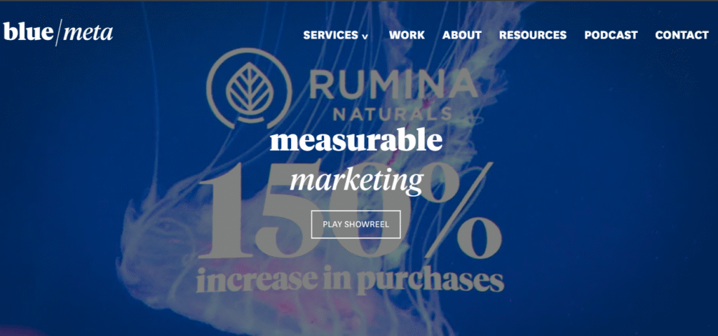 Blue Meta: Best Social Media Marketing Services in Canada